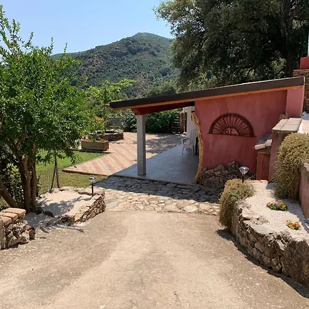 Tacchihousepanorama