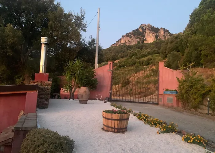 فيلة Tacchihousepanorama Jerzu