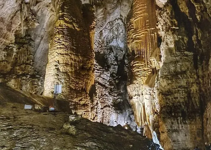 فيلة Tacchihousepanorama